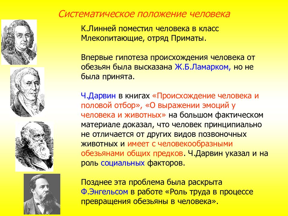 Доказательства происхождения человека от животных презентация 11 класс