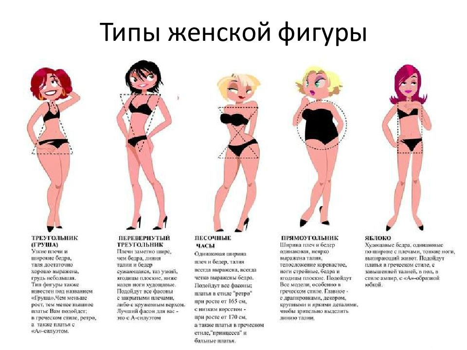 Характеристика типа фигур. Типы фигур. Виды женских фигур. Типы женского тела. Тип телосложения фигуры.