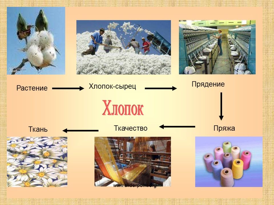 Ткань презентация для детей