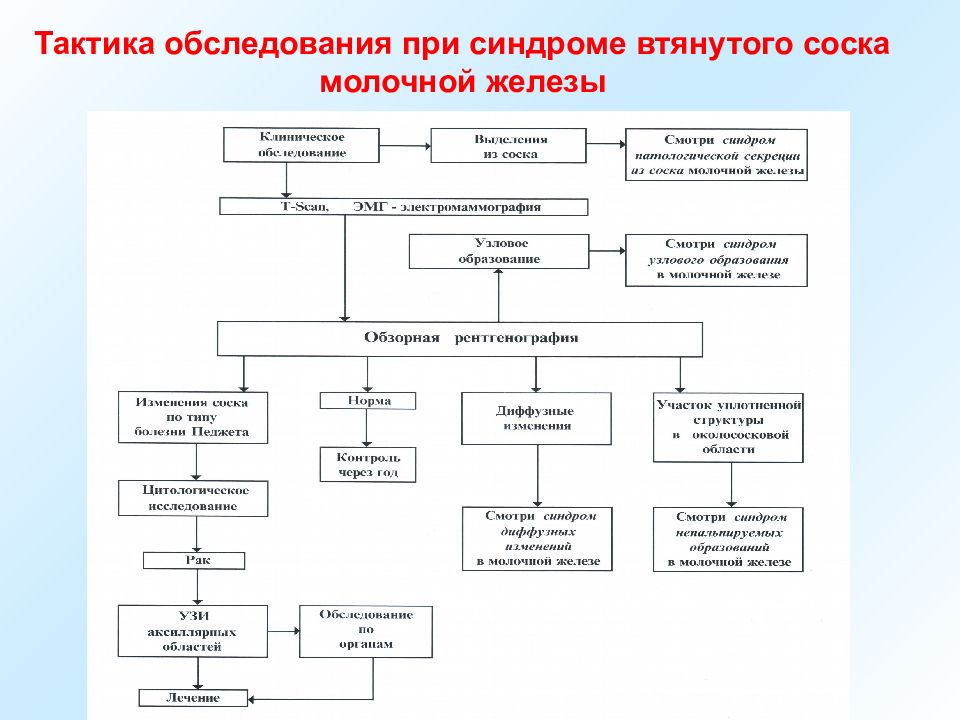 Стандарты обследования. План обследования и тактика разница. Тактика осмотра животного. Логистики в тактике обследования.