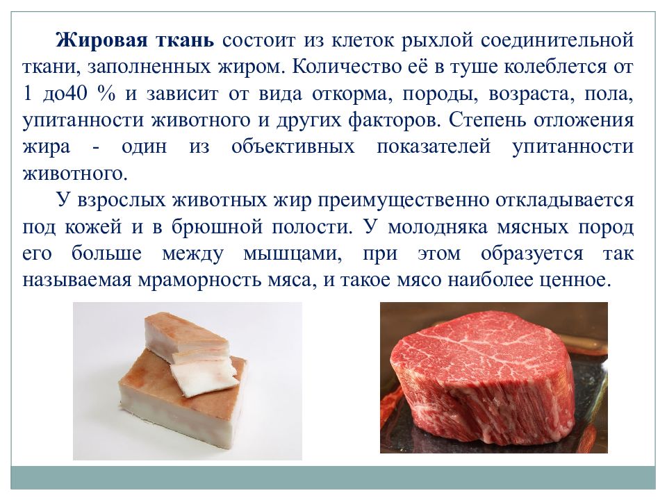 Ткани мяса. Химический состав жировой ткани. Состав мяса ткани.