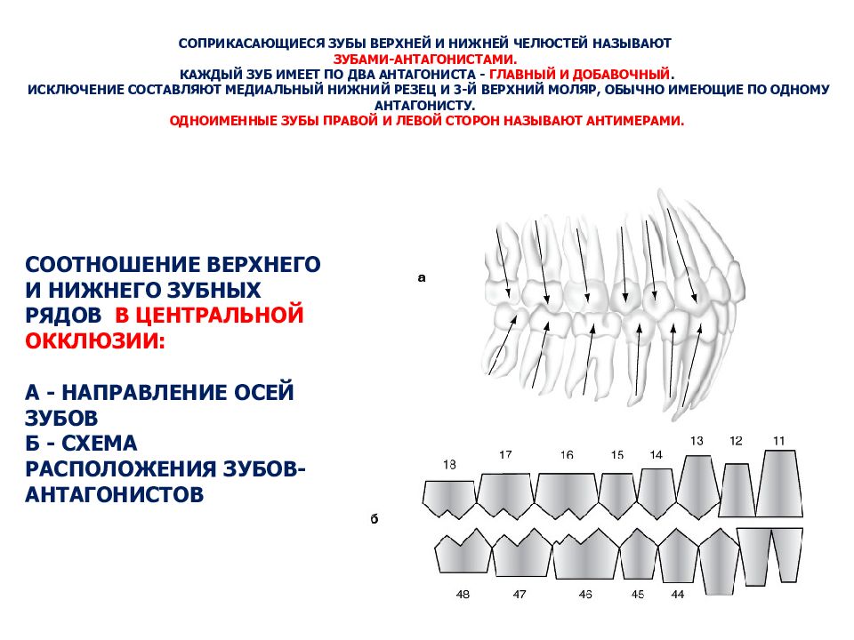 5 признаков зубов