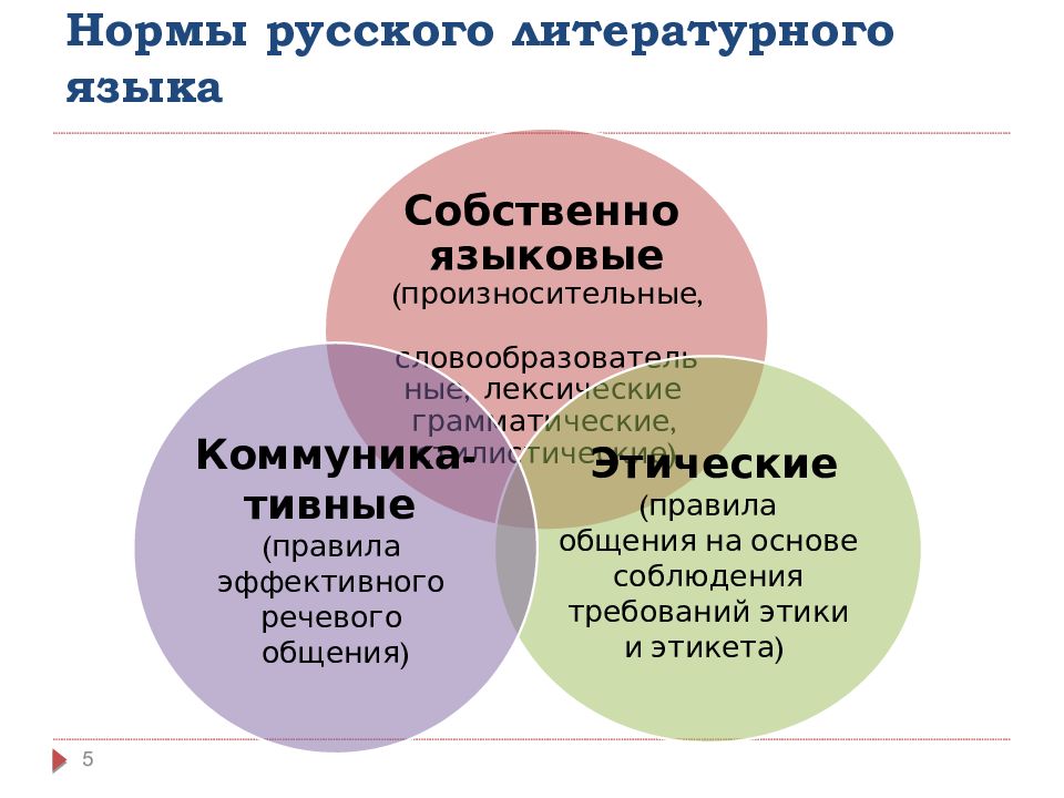 Современные нормы. Нормы русского литературного языка. Основные лексические нормы русского языка. Лексические нормы языка. Лексические нормы русского литературного языка.