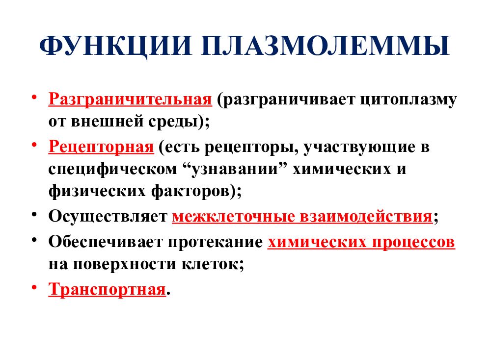 Функции плазмолеммы. Таблица функции плазмалеммы. Функции плазмолеммы таблица. Функции цитолеммы.