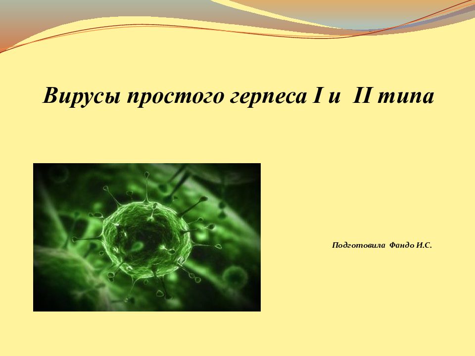 Вирус простого типа. Вирус простого герпеса первого типа. Вирус простого герпеса 1 и 2 типа. Вирус простого герпеса 2 типа. Простейшие вирусы.