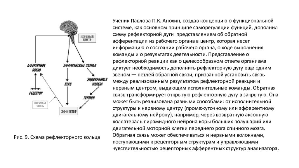 Рефлекторная природа. Рефлекторное кольцо по Анохину схема. Обратная связь рефлекторной дуги. Рефлекторная деятельность схема. Структура рефлекторной дуги и рефлекторного кольца.