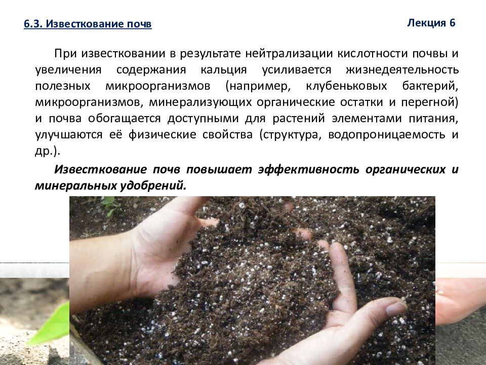 1 ЛЕКЦИЯ №6. Химическая мелиорация земель