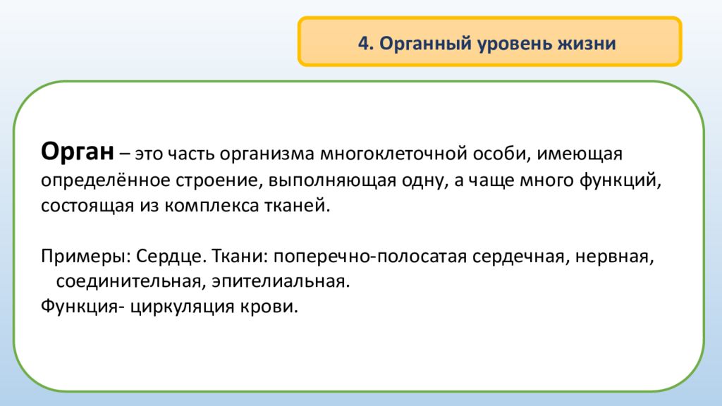 Имеют определенную структуру. Орган это часть организма имеющая определенное строение. Органный уровень функции. ...Это части организма имеющие определенное ... И выполняющие.