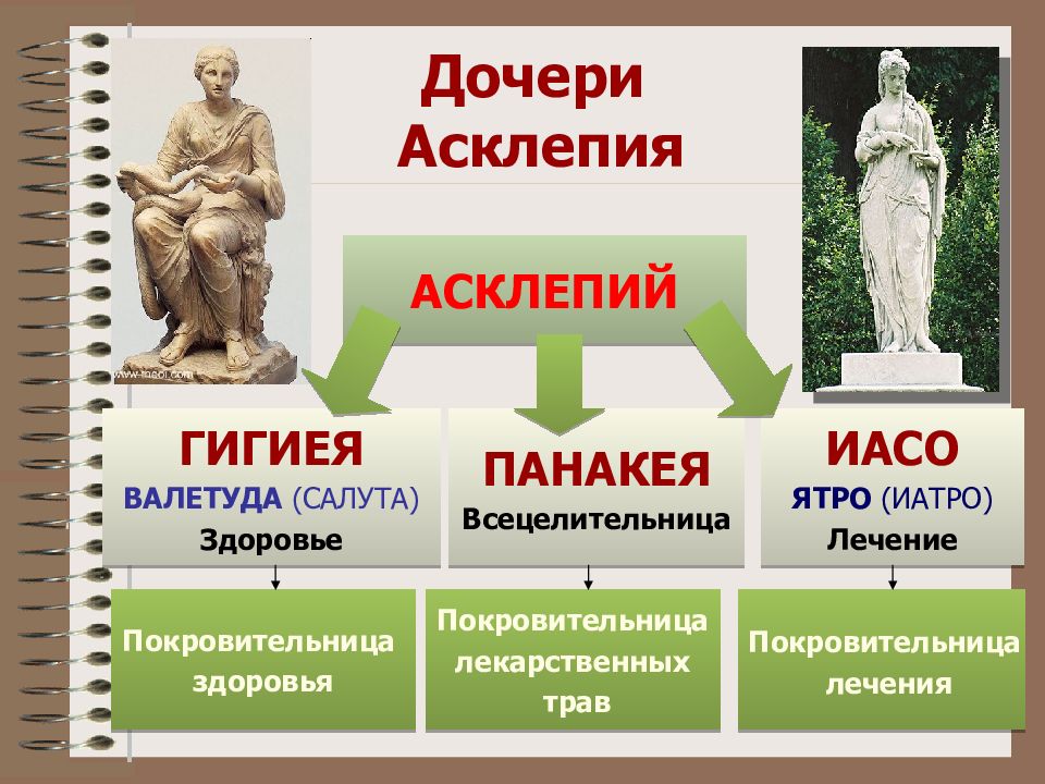 Дочь бога асклепия. Асклепий гигиея панацея. Дочери Асклепия. Асклепий и его дочери. Асклепий Бог древней Греции.