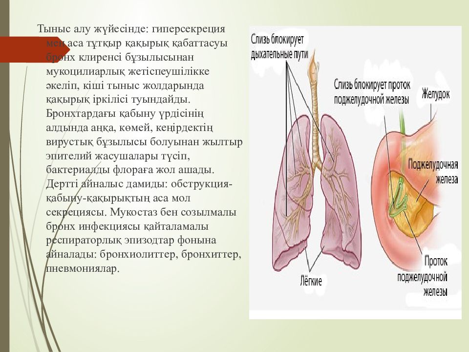 Пневмония ауруы презентация