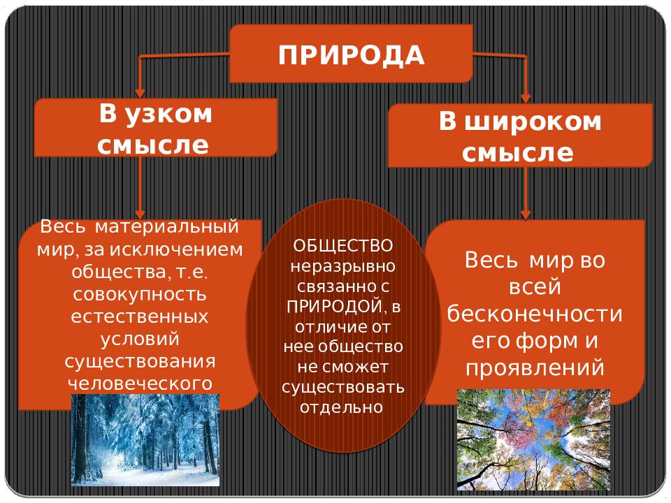 Общество в узком смысле