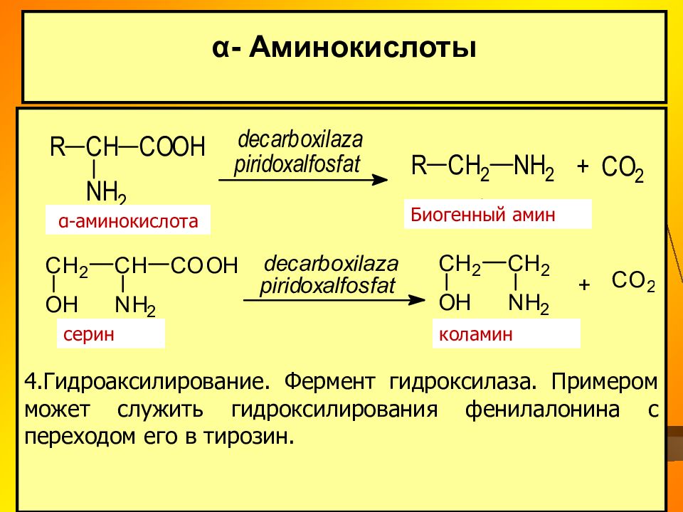 Омыляемые липиды это. Классификация аминокислот моноаминомонокарбоновые. Коламин Холин ацетилхолин. Пропановая кислота br2. Моноаминомонокарбоновые кислоты.