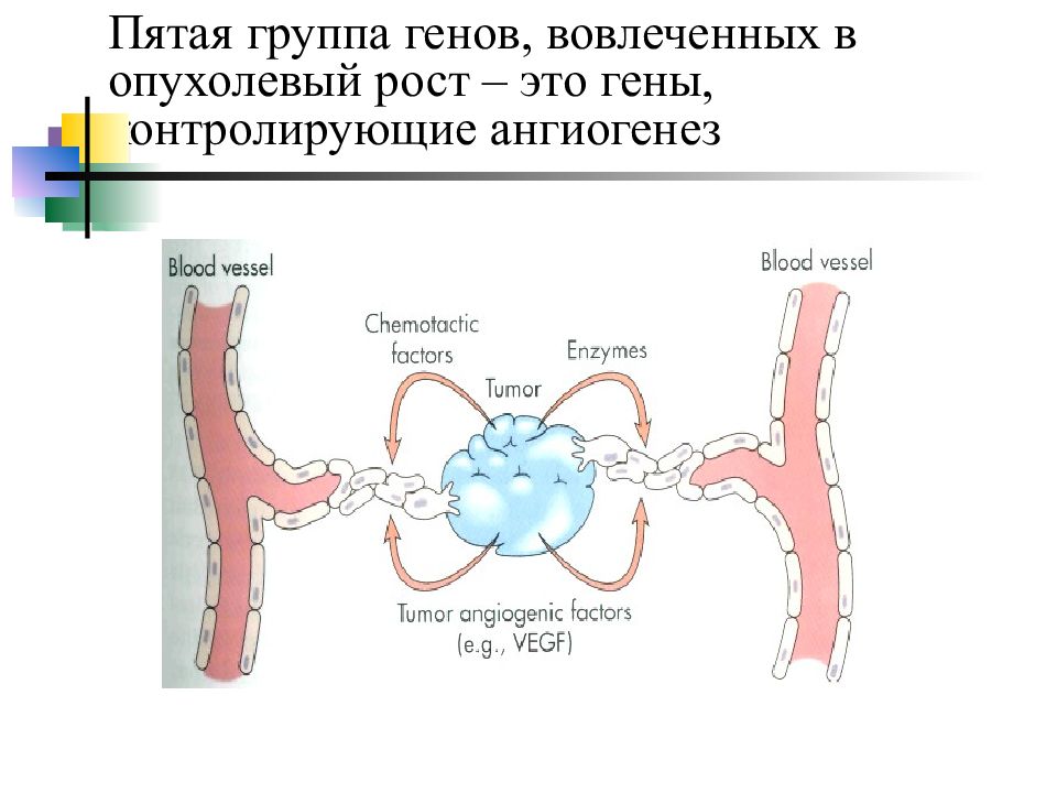 Контролируемая доставка факторов ангиогенеза презентация