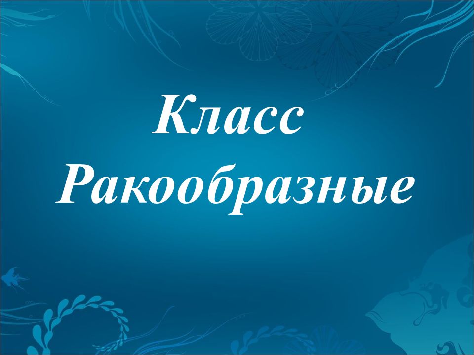 Класс Ракообразные