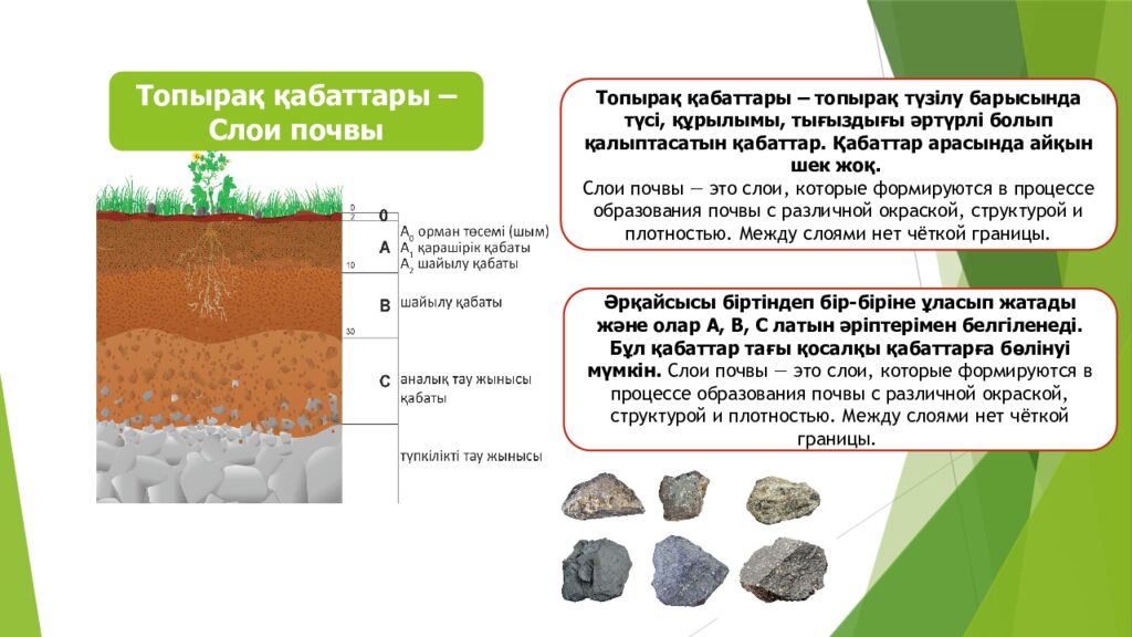 ТОПЫРАҚ ЖӘНЕ ОНЫҢ ҚҰРАМЫ МЕН ҚҰРЫЛЫМЫ