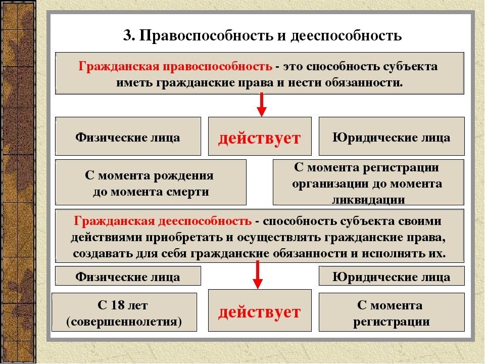 Гражданское право обществознание план