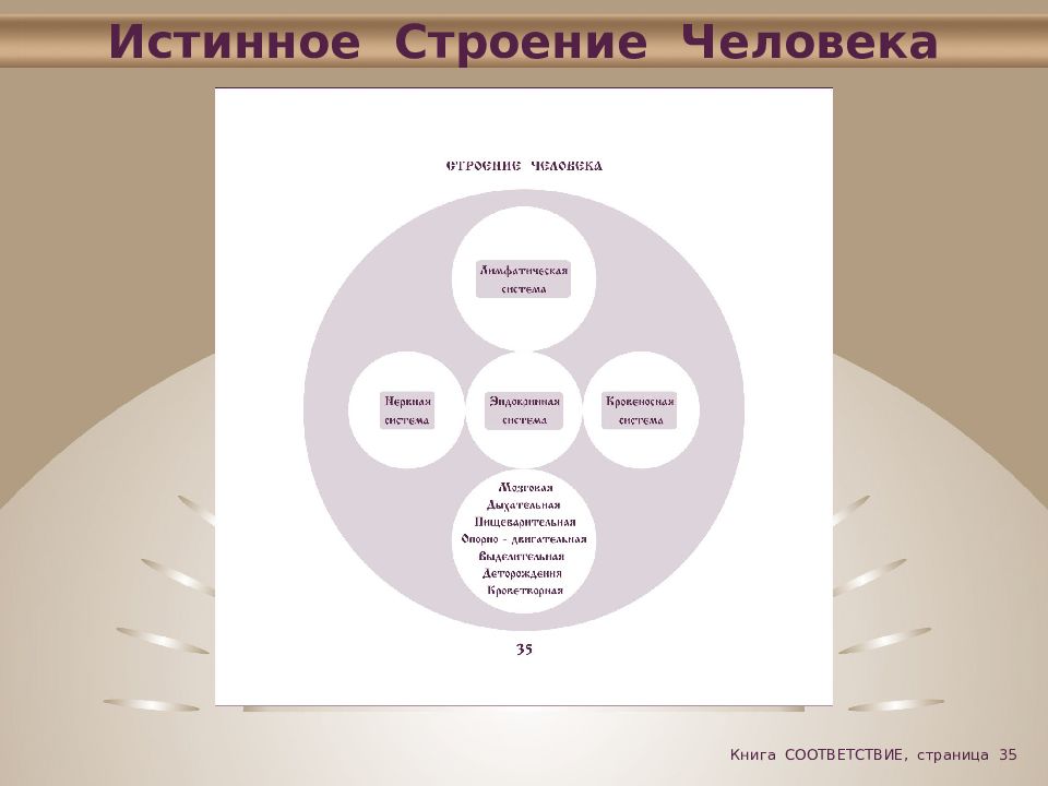 Практическая система. Структура человечества. Трехчастная структура человека. Книга иерархия света. Иерархия света Скворцов.