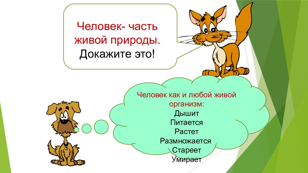 Любое живое. Человек часть живой природы докажи это. Как доказать что человек часть живой природы. Человек часть живой природы потому что он. Человек часть живой природы раскраска.