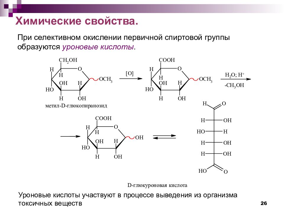 Углеводы химические свойства и получение. Образование уроновых кислот из Глюкозы. Схема получения галактуроновой кислоты. Синтез уроновой кислоты. Образование уроновых кислот из углеводов.