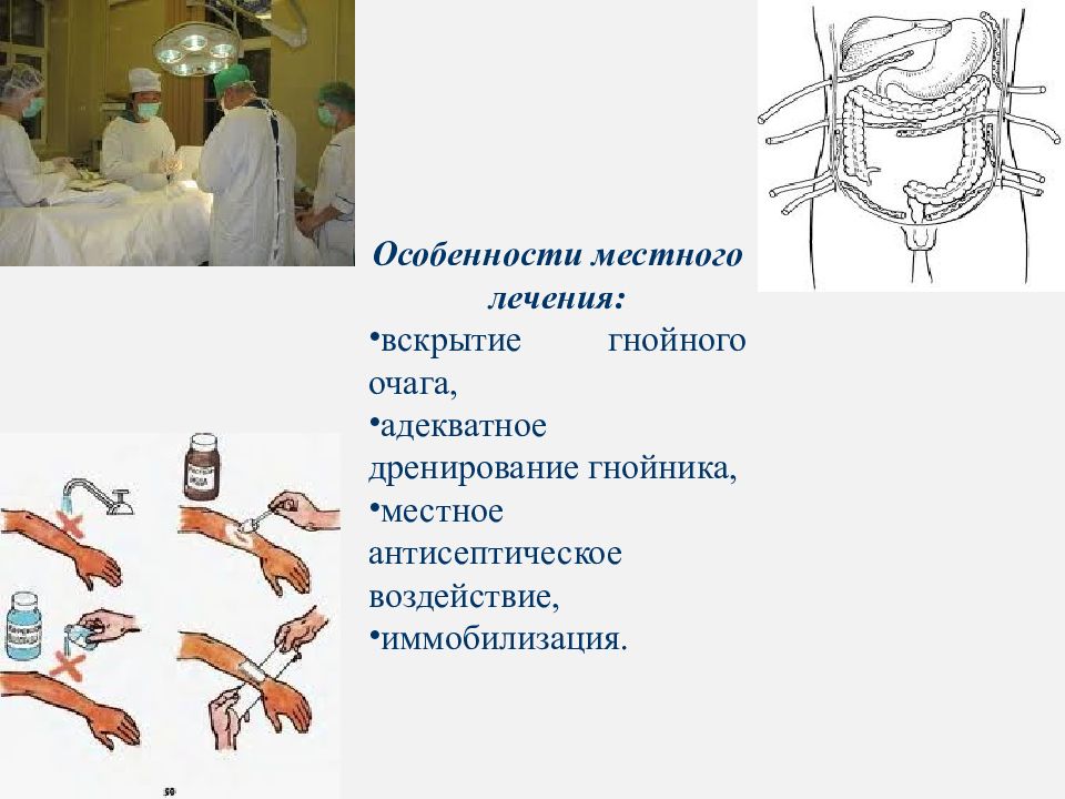 Патофизиология инфекционного процесса презентация