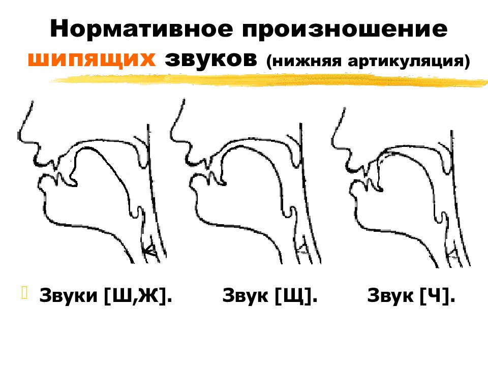 Артикуляция звука ч для детей в картинках