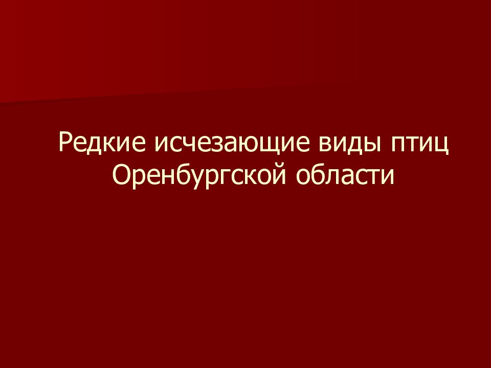Редкие исчезающие виды птиц Оренбургской области
