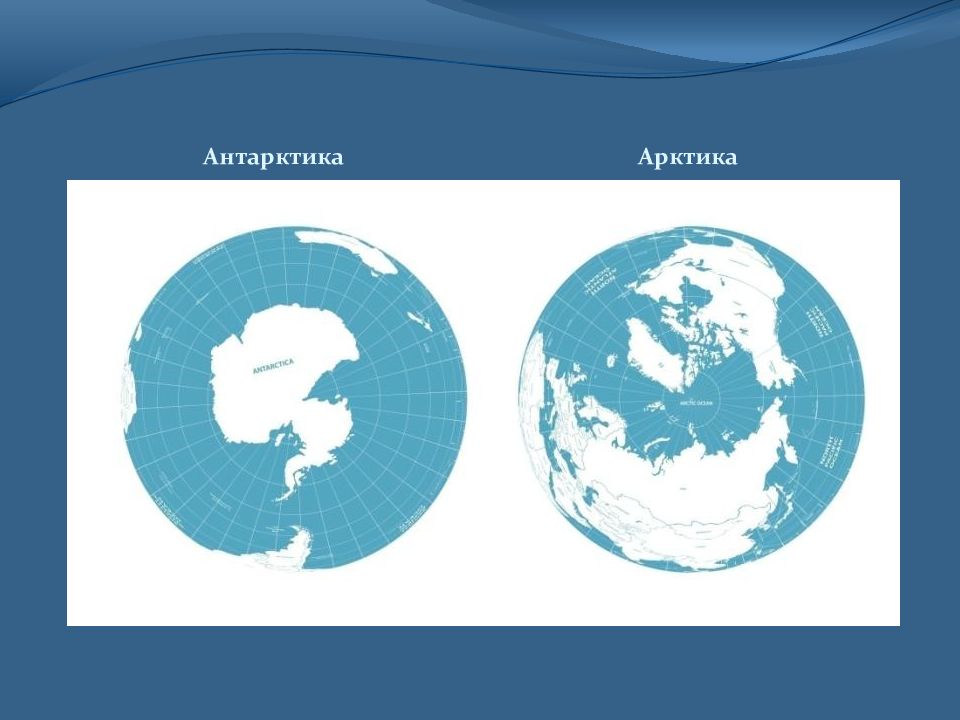 Арктика антарктида карта мира