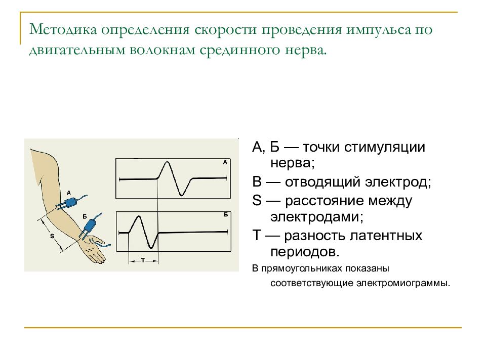 Скорость возбуждения. Определение скорости проведения возбуждения по нерву. Скорость проведения импульса. Определение скорости проведения в нервах.. Методы определения скорости распространения возбуждения по нервам.