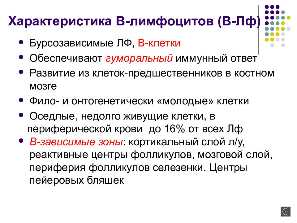 механизмы иммунного ответа. место осуществления иммунологических реакций. клеточный иммунный ответ схема гистология. этапы гуморального иммунного ответа. формирование иммунного ответа кратко.