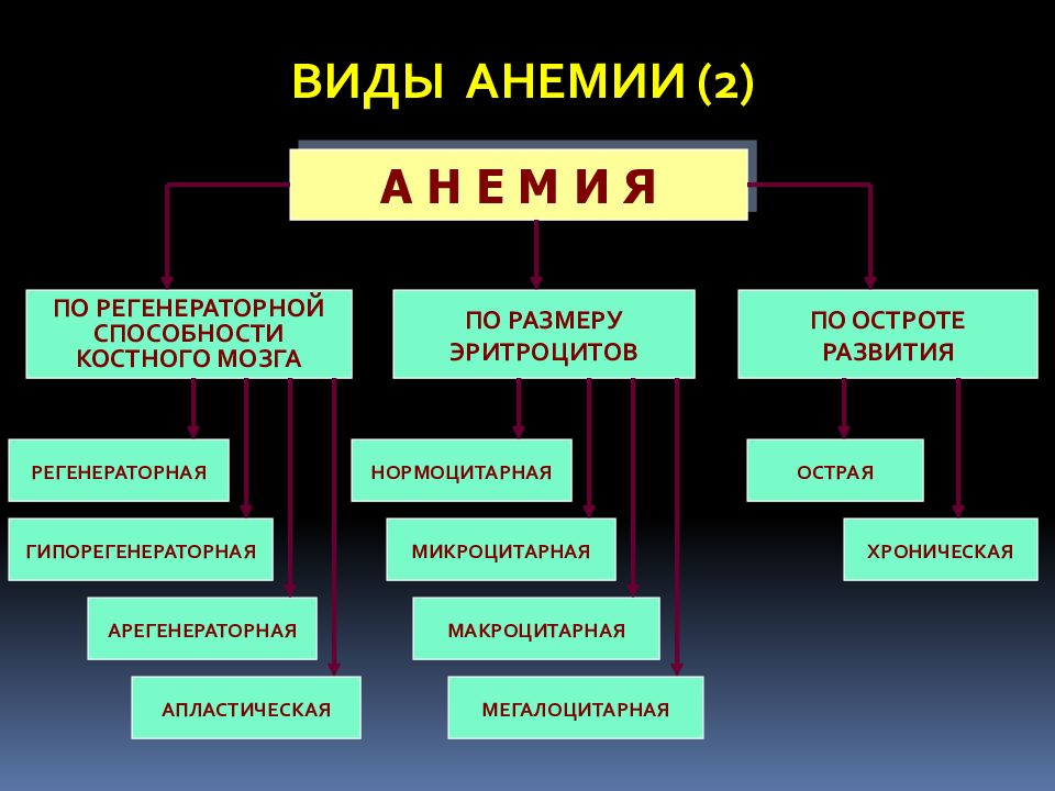 Понятие анемии. Виды анемий. Формы анемии. Виды игемии. Аиды Аннеми.