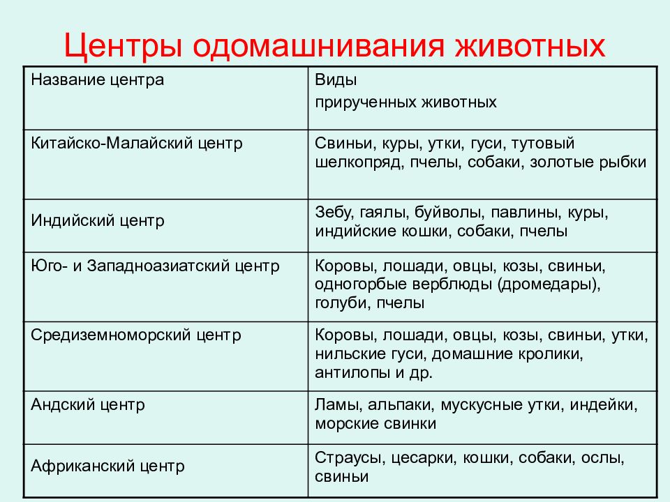 Презентация центры происхождения животных