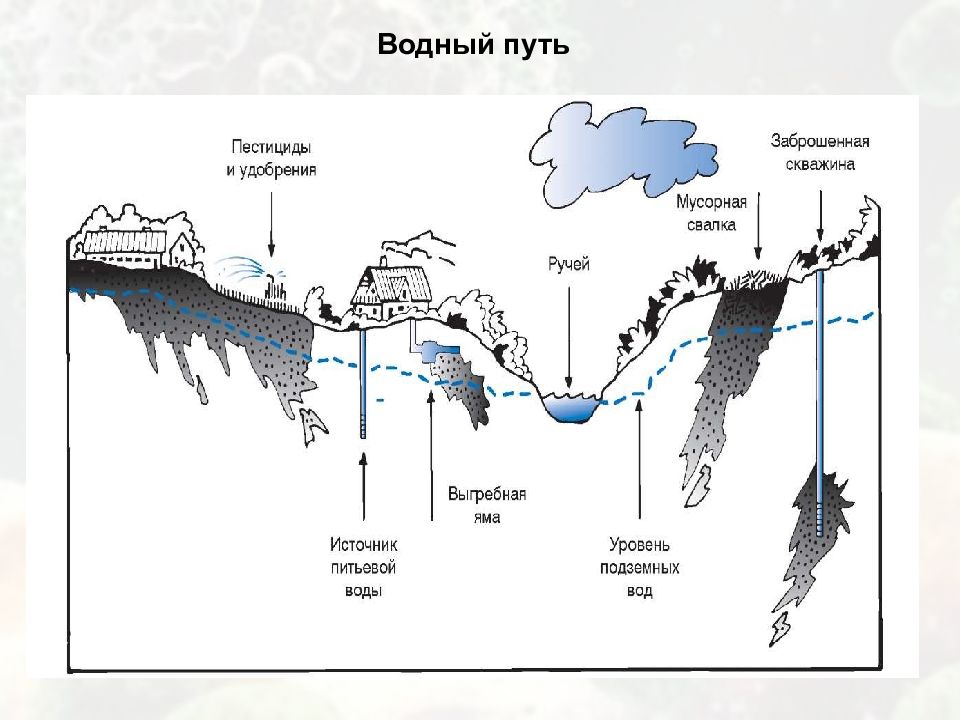 Водный путь. Эпидемиология воды. Водный путь распространения. Эпидемиология воды картинки. Кривая динамики водного пути передачи.