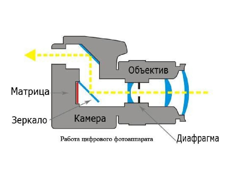 Каким получается изображение предмета на пленке или дисплее фотоаппарата