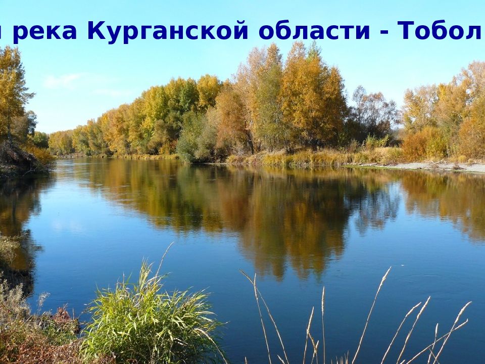 Куда впадает река тобол курганская область. Тобол Курганская область. Река Тобол. Курганская область реки Курганской области. Курганская область природа Зауралья река Тобол.