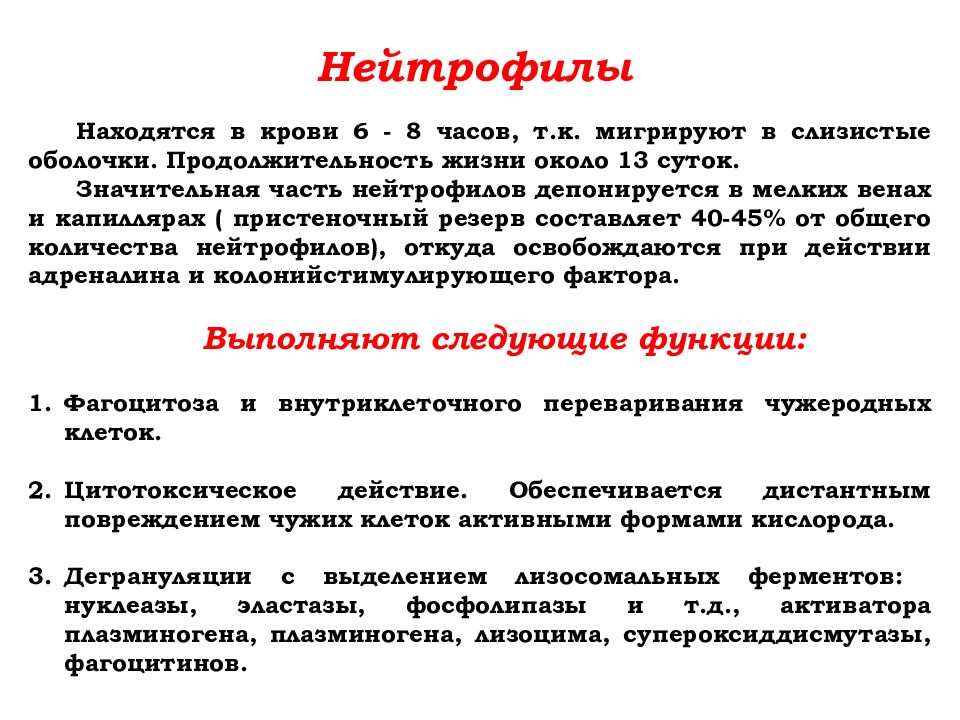 Нейтрофилы функции. Функции нейтрофилов. Основные функции нейтрофилов. Функции нейтрофилов в крови. Основная функция нейтрофилов.
