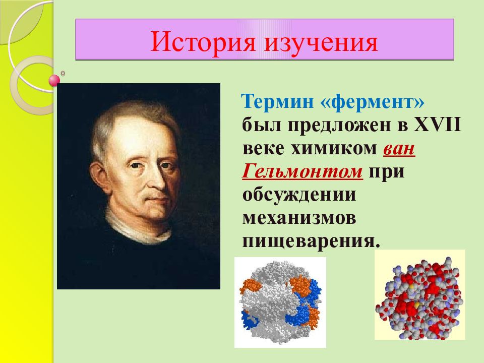 Ферменты химия 10 класс презентация