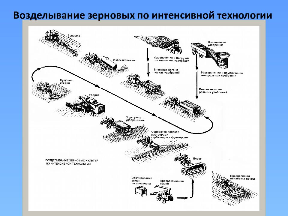 Интенсивные технологии. Технологические схемы уборки злаковых культур. Классификация почвообрабатывающих машин. Технология возделывания и уборки зерновых культур карта. Зерновой грузоформирующий узел.