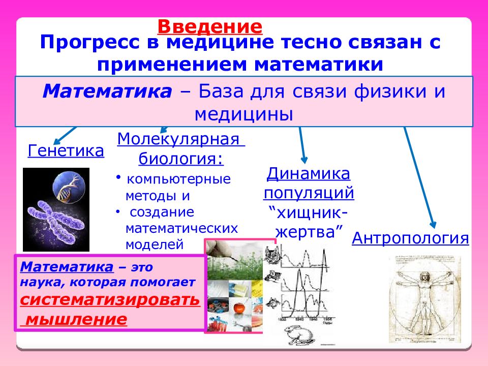 Математика в медицине презентация