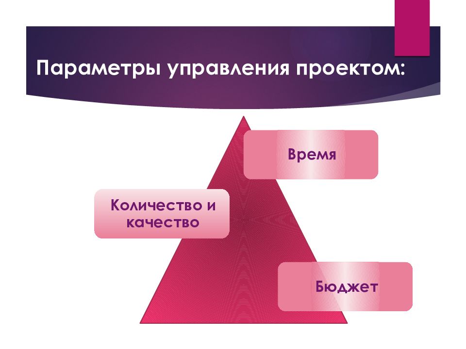 Управляемые параметры. Перечислите управляемые параметры проекта. Управленческий проект. Управление параметрами проекта. Параметры проекта менеджмент.