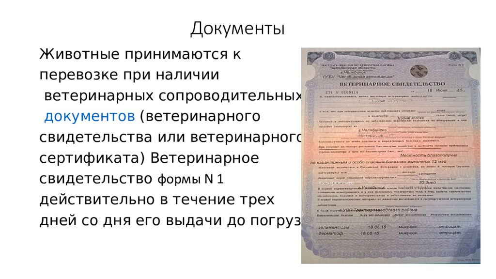 грузовые документы. документы на груз при перевозке. перевезти документы. погрузка коробок. документальное оформление перевозки грузов.