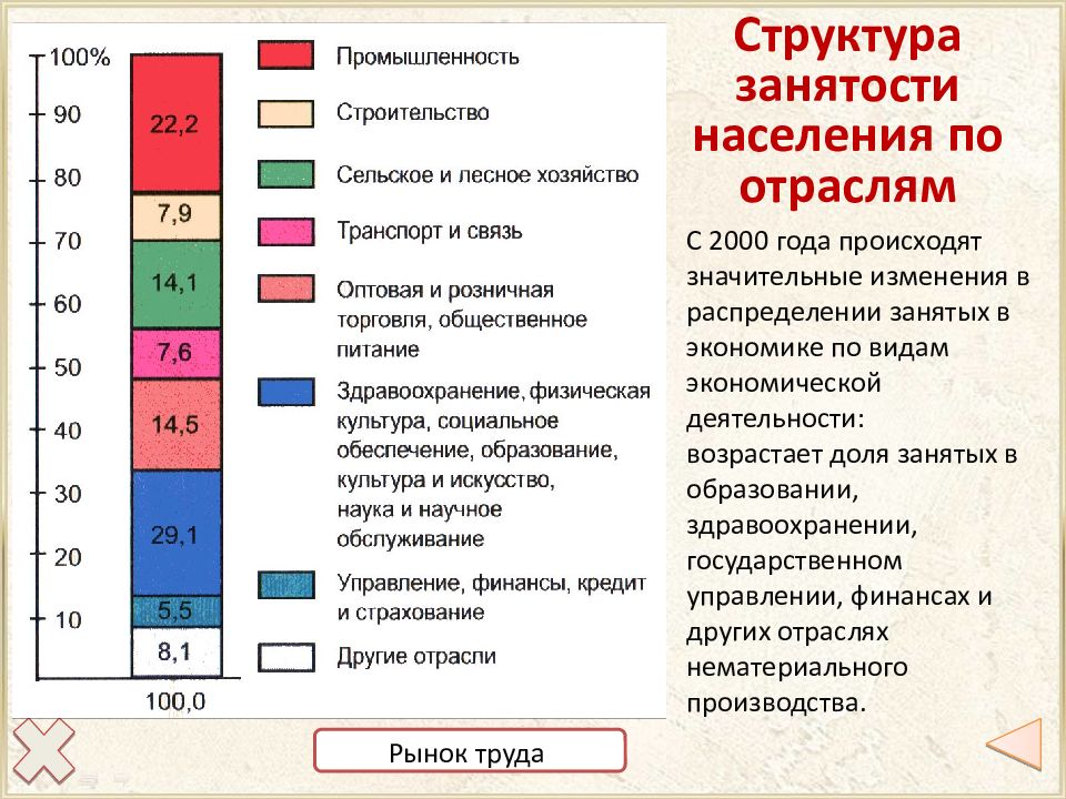 Структура занятости населения