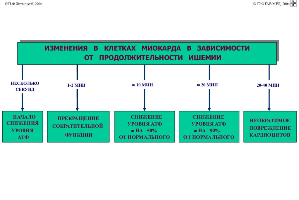 Коронарная недостаточность презентация