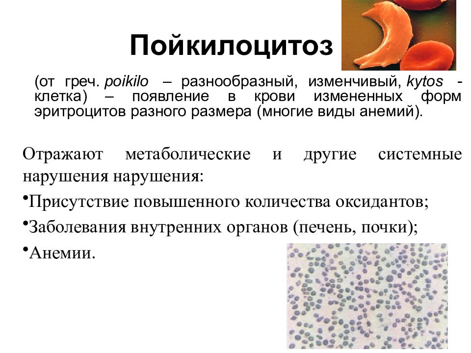 Заболевания крови у беременных презентация