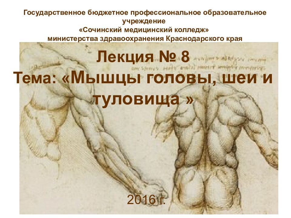 Лекция № 8 Тема: « Мышцы головы, шеи и туловища »