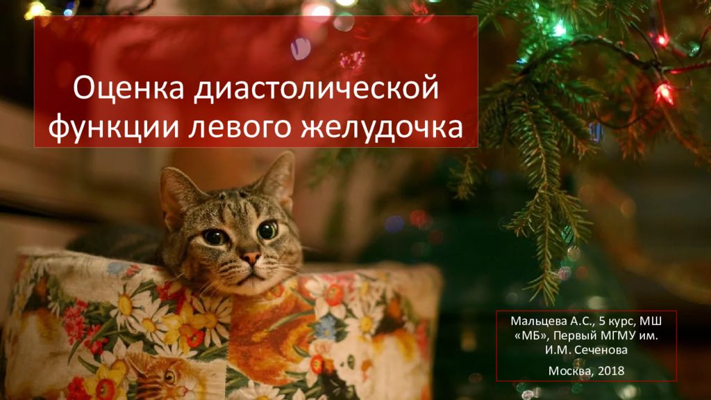 Оценка диастолической функции левого желудочка