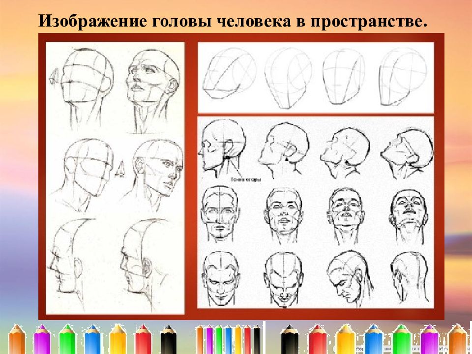 Изображение головы человека в пространстве 6