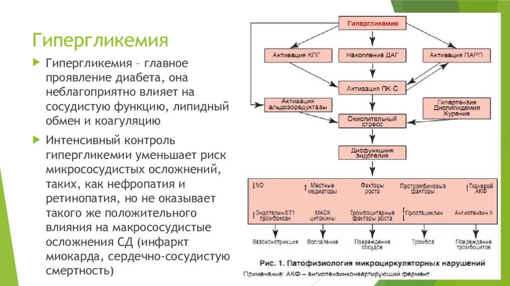 Липидный обмен это. Гипергликемия факторы риска. Липидный обмен при сахарном диабете. Критерии факторов риска гипергликемия. Липидный обмен схема.