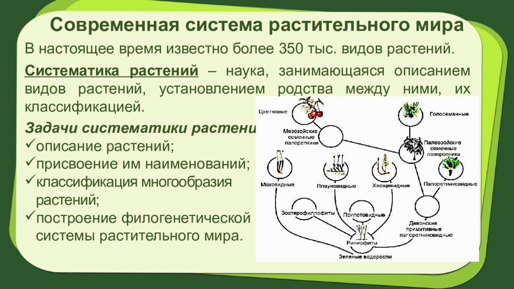 Биология 7 класс Тема урока: § 2.Систематика растений