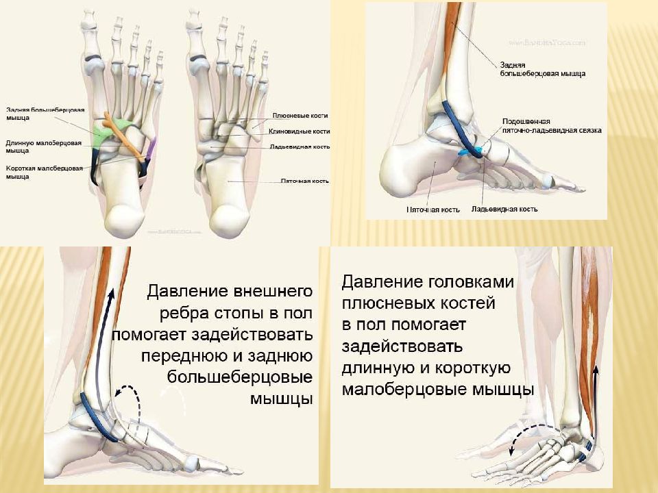 Подошвенное сгибание стопы