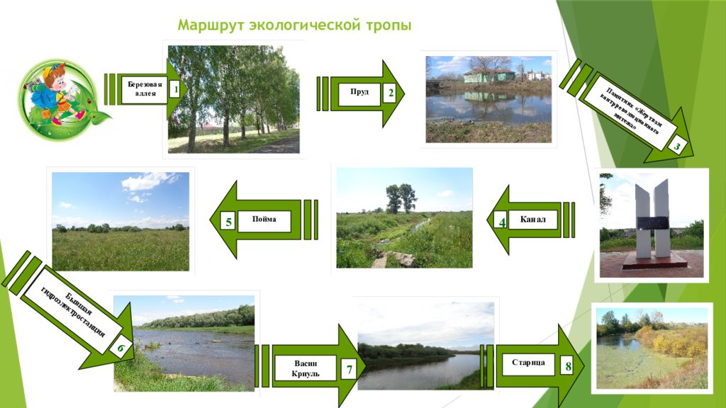 Индивидуальный проект на тему экологическая тропа